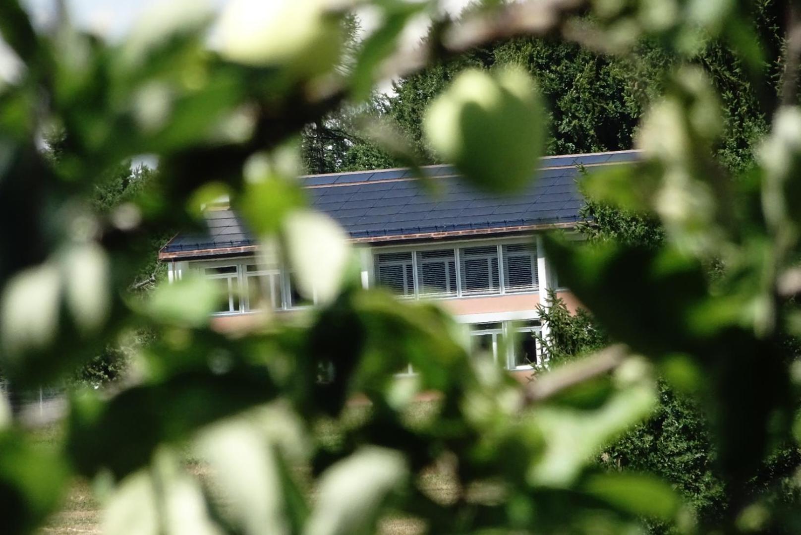 Naturnahe Familienwohnung Ruschegg Exterior foto